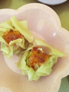 Foto resep Dimsum Ayam Sayur