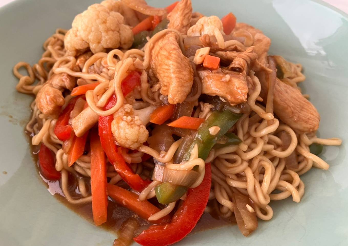 Mie-Noodles con pollo, verduras y salsa de ostras