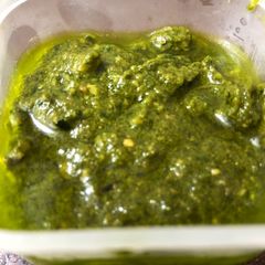 A picture of Pesto.