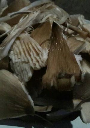 รูปของ เห็ดโคนผัดน้ำมันหอย