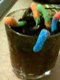 gummy worms with oreo, and chocolate pudding