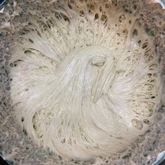A picture of Sour dough starter.