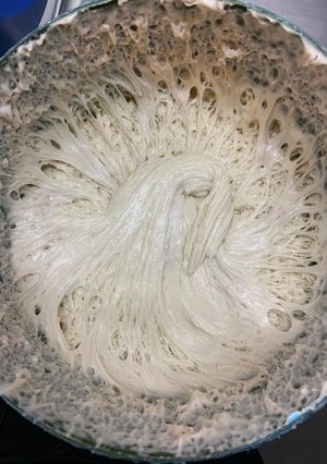 A picture of Sour dough starter.