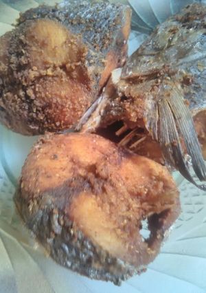 Foto resep Ikan tongkol goreng