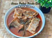Gambar siakap bunga kantan