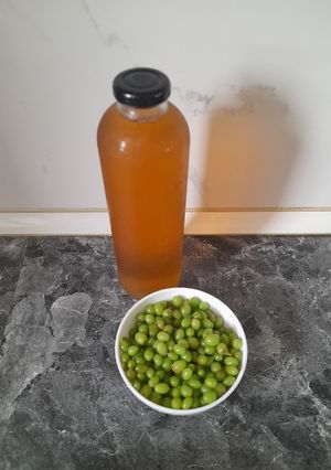 عکسی از دستور آبغوره