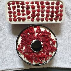 A picture of Raspberry Cheese Cakes.