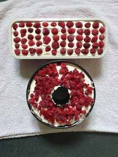 A picture of Raspberry Cheese Cakes.