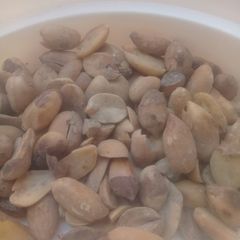 A picture of Gyada mai gishiri.