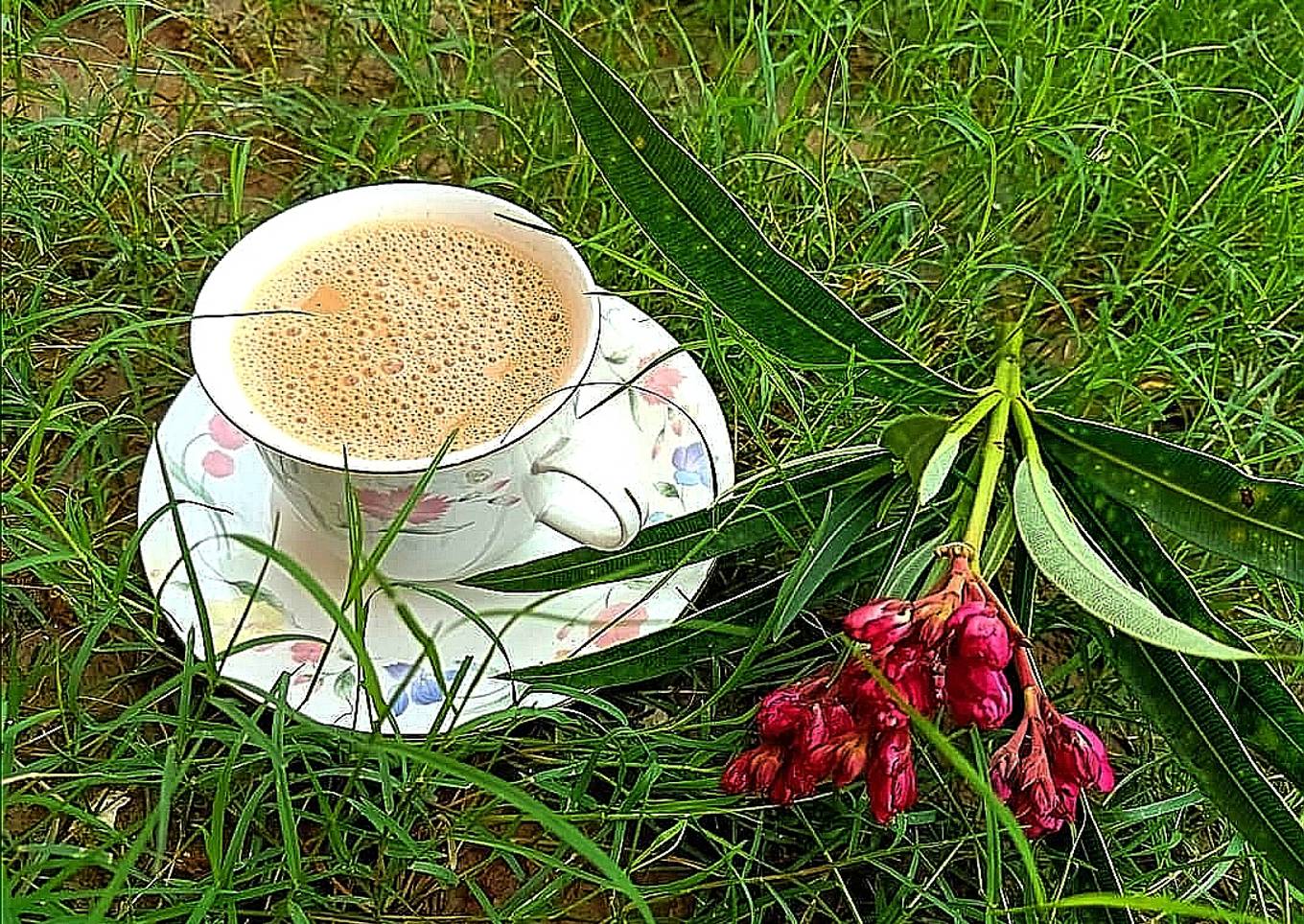 Doodh patti