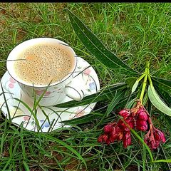 A picture of Doodh patti.