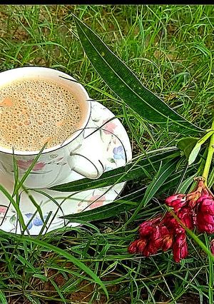 A picture of Doodh patti.