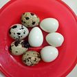 Telur Puyuh Rebus Mulus