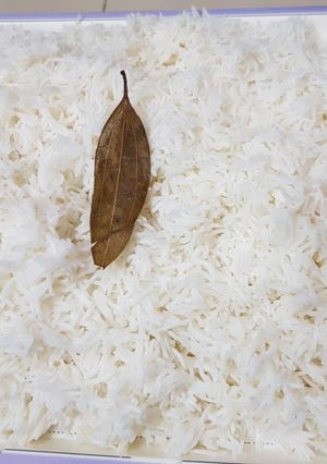 A picture of Fluffy boiled rice!.