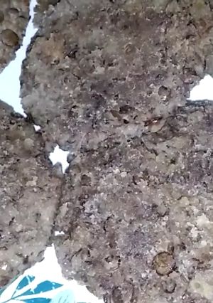 Una foto de Hamburguesas de lentejas fáciles y económicas