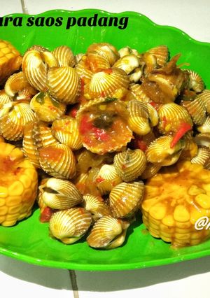 Foto resep Kerang Saos Padang