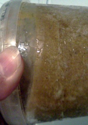 A picture of Spanish sofrito.