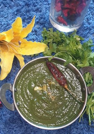 A picture of Garlic spinach (lasuni Palak).