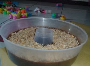 Foto resep Puding susu biskuit kongguan