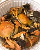 清蒸大閘蟹