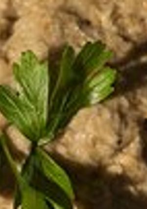 Foto principal de Crema de berenjena ó Babaganuch