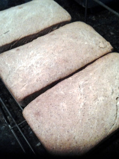 A picture of whole wheat sourdough bread.