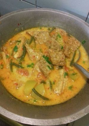 Foto resep Tahu tempe kuah santan sayur