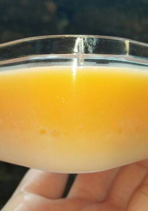 Foto resep Mango Silky Pudding