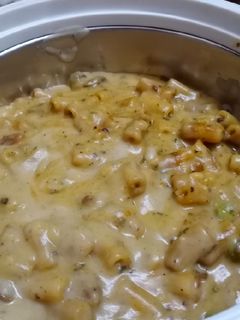 হোয়াইট সস পাস্তা(white sauce pasta recipe in bengali) রেসিপির প্রধান ছবি