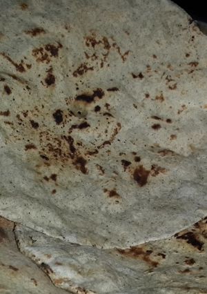 A picture of Bhakri.