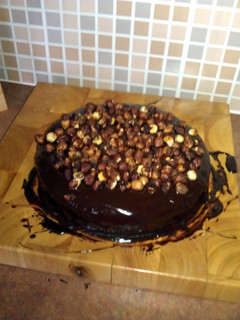 A picture of Nigella Lawson's Nutella cake.