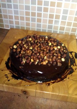 A picture of Nigella Lawson's Nutella cake.