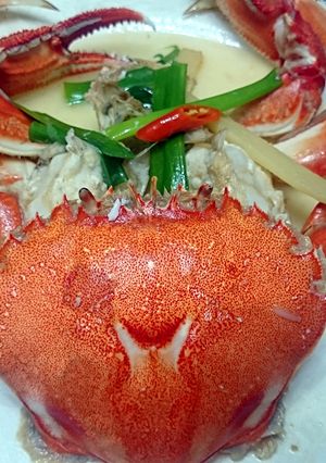 酒蒸螃蟹 的食譜成品照片