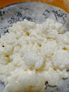 Una foto de Cuidados del kéfir de leche casero, ¿cómo obtener un yogurt saludable?