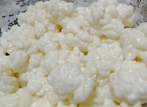 Una foto de Cuidados del kéfir de leche casero, ¿cómo obtener un yogurt saludable?
