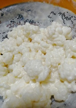 Una foto de Cuidados del kéfir de leche casero, ¿cómo obtener un yogurt saludable?