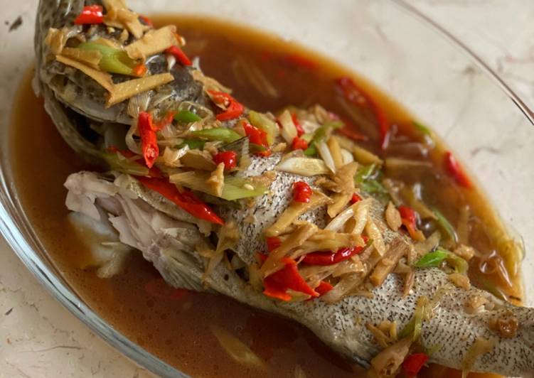 Masakan Populer Tim Ikan kerapu Enak dan Sehat