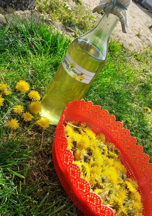 Pitypang szirup recept fotója