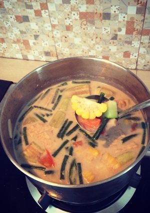 Foto resep Sayur Lodeh 15 menit Ala Ametya
