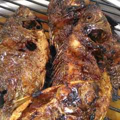 A picture of Ikan bakar dijamin enak.