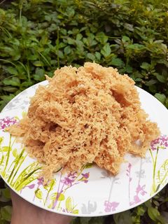 Foto resep Kremesan bersarang super renyah anti gagal