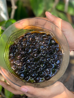 Foto resep Brown Sugar Boba