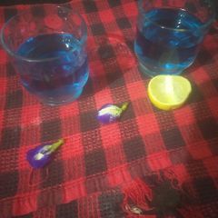 A picture of Butterfly pea flowers tea.
