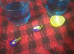 A picture of Butterfly pea flowers tea.