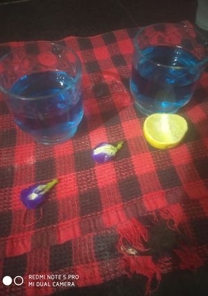 A picture of Butterfly pea flowers tea.