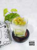 Avocado Matcha Tropica