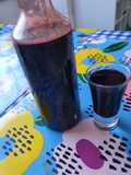 Botella casera (limpiar por dentro)