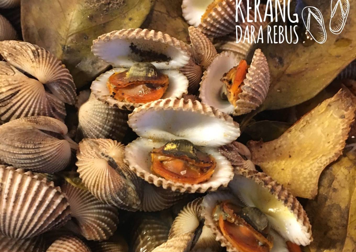 Kerang Dara Rebus 🐚🐚🐚