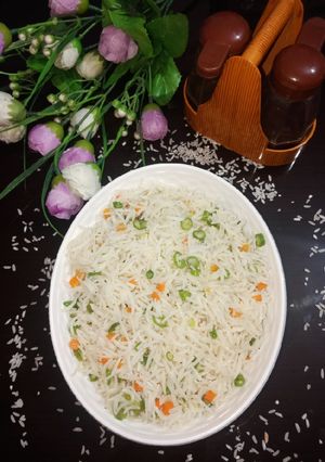A picture of Veg fried rice.