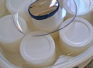 Una foto de Yogurt casero en yogurtera